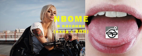индика Алзамай