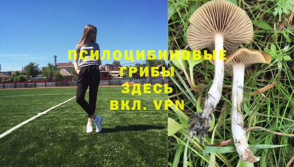 индика Алзамай