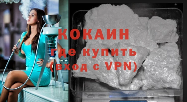 индика Алзамай