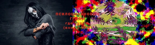 индика Алзамай