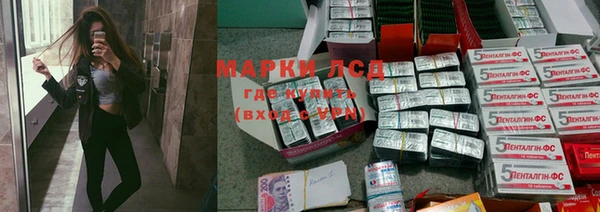 индика Алзамай