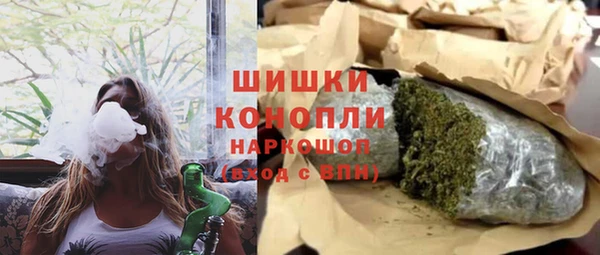 индика Алзамай