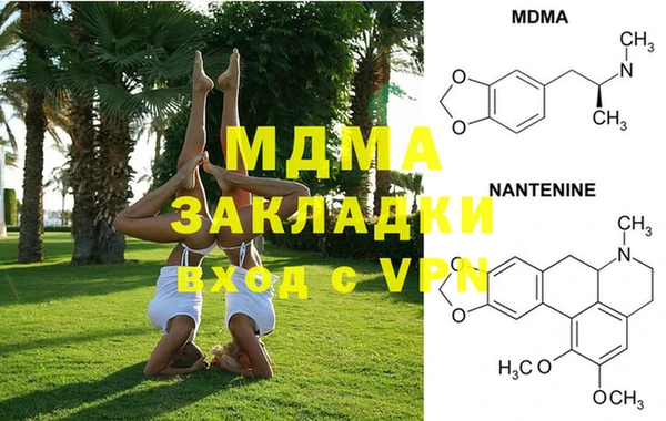 индика Алзамай