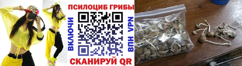 Галлюциногенные грибы Psilocybine cubensis  Покров 